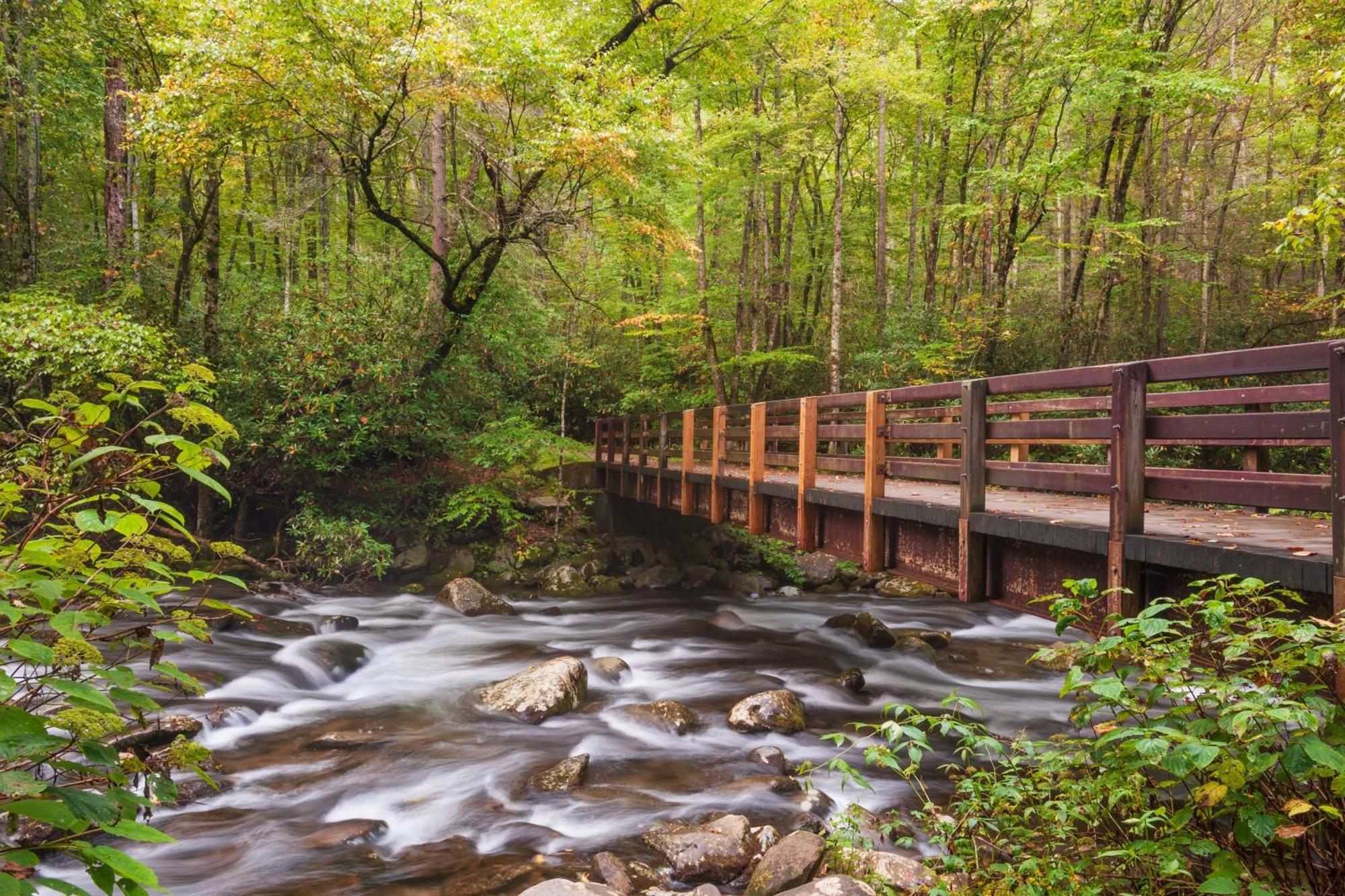 Breathtaking View, Hot Tub, 1089 Of Free Attraction Tickets For Each Paid Day, Dollywood And More! セバービル エクステリア 写真