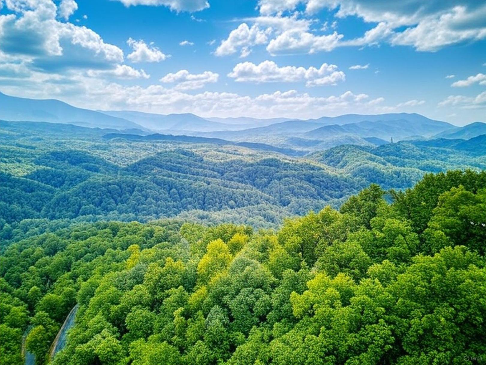 Breathtaking View, Hot Tub, 1089 Of Free Attraction Tickets For Each Paid Day, Dollywood And More! セバービル エクステリア 写真